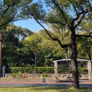 중앙공원 앞 이미지