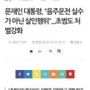 문재인 딸' 다혜, 음주운전 사고 입건…0.14% '면허 취소' 수준 이미지