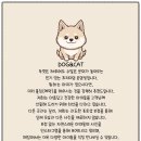 소문난 강아지 이미지