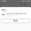 브리즈비