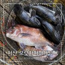 창리서로 | 서산 좌대낚시 추천 – 참돔·우럭, 아이와 함께하는 즐거운 낚시[서산으랏차차좌대낚시]