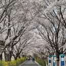 씨유 다산이편한자이점 | 남양주 다산동 걸레받이 실리콘 다신신도시 다산이편한세상자이아파트