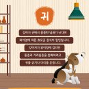 차동물병원 이미지