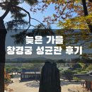 늦은 가을 창경궁 성균관 서울단풍명소 후기