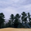 월송리CC IN 코스 이미지