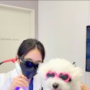 라퓨클레르 동물피부클리닉 이미지