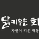 닭키우는 회장님 이미지