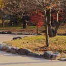 광인터넷PC나라 이미지