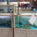 4742회센타 이미지
