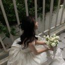 로드377 | 서초 헤이허니스튜디오 / 메리블로썸 아이폰스냅 촬영 후기