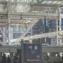 발한로(A) | 국내 여행 후기) 혼자라서 더 좋았던 묵호에서의 힐링 여행 2박 3일의 기록, 첫 날 (뉴월드상가, 소품샵...