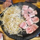 파파미트 이미지