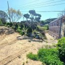 대곡면-8 이미지