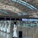 피치항공 타고 오사카 간사이 공항 감 (피치항공 좌석예약, 비상구석, 수화물규정, 탑승 후기)
