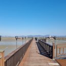 무안황토갯벌랜드 이미지