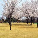 대원파크 이미지