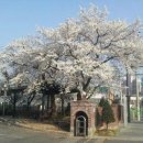 조리읍사무소 이미지