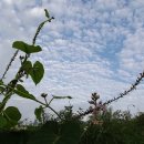 한끼식사 이미지