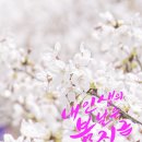 캘리공장