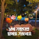 수원 일월수목원 야간개장, 이렇게 즐겼어요