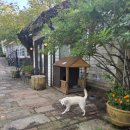 북삼리 | [연천]연천 허브빌리지💚