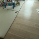 미소청소대행