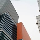 테라코타