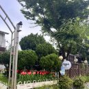 드림비취펜션 이미지