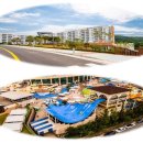 대명기업 노동조합 이미지