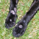 새가야약국 이미지