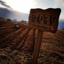 솔길농장 이미지