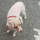 봉무공원 테니스장 이미지