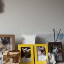 디엠지아트토이 이미지