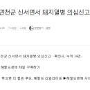 큰시장마니커 이미지