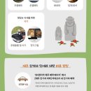 아이올레인포레스트캠핑 이미지