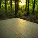 서귀포자연휴양림 이미지