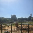 CU전주본점 | 전주 나들이 part 1 |현대옥, 전주 동물원 입장료 및 후기