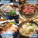 대륙미가원 이미지