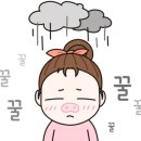 캘리그라피(주간) 이미지