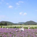 보라농장 이미지