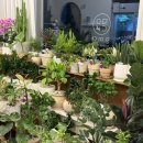 투토빌딩 이미지