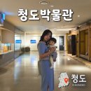청도박물관 | 청도 아이랑 가볼만한곳 청도박물관 아기랑 실내 여행 후기