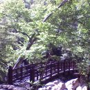 봉암동164 이미지