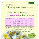 꽃차소믈리에자격증 이미지