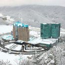 스위트러브 이미지