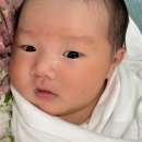 지호농원 이미지