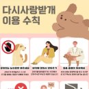 다시사랑받개 이미지