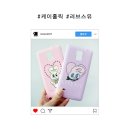 케이스홀릭