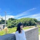 픽쳐레스크 이미지