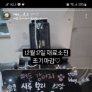 헤이땅콩